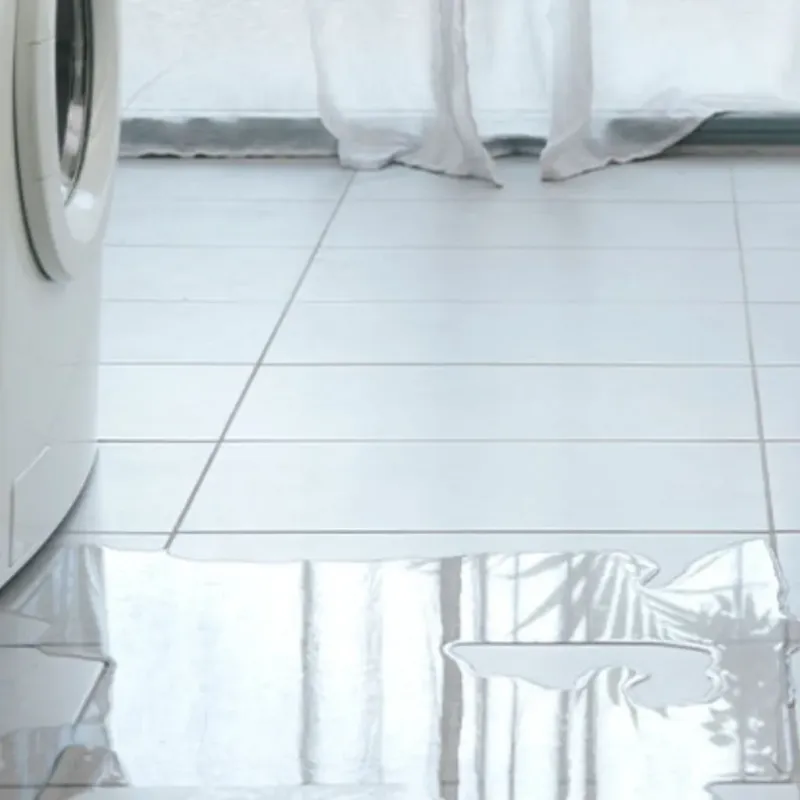 Appliance Leak Cleanup in Dighton, KS