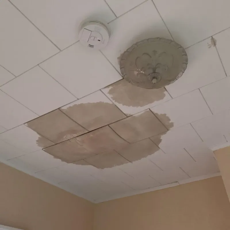 Ceiling Water Damage Repair in Dighton, KS