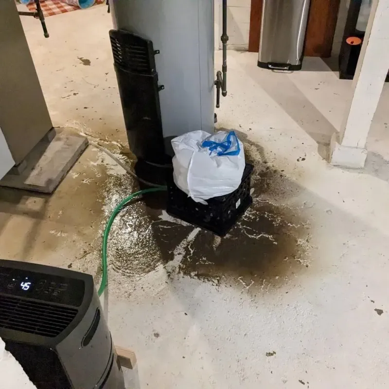 Sewage Backup Cleanup Service in Dighton, KS